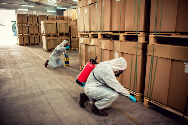 Best Flea Control Services  in Carlisle, OH