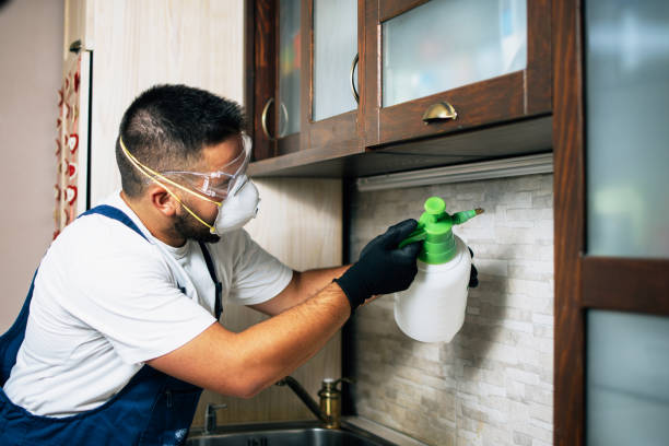 Best Local Pest Control Services  in Carlisle, OH