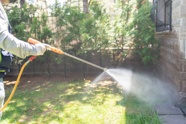Best Pest Control Near Me in Carlisle, OH