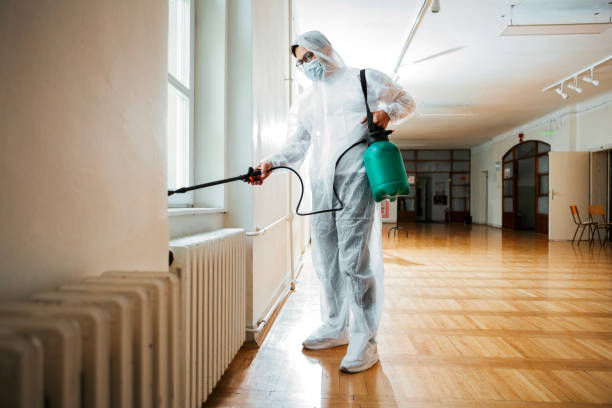 Best Pest Control Treatment  in Carlisle, OH