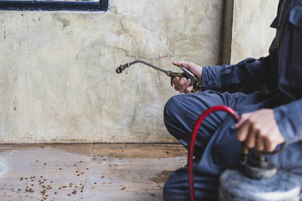 Best Rat Extermination Near Me  in Carlisle, OH